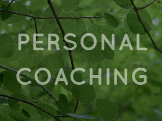 Personal Coaching