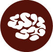 It’s about the Brain